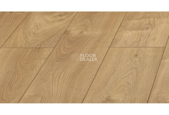 Ламинат Kronopol Platinium Cuprum d3033 Дуб Ливорно фото 1 | FLOORDEALER