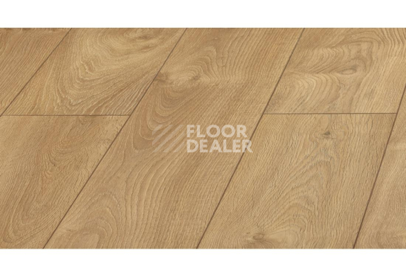 Ламинат Kronopol Platinium Cuprum d3033 Дуб Ливорно фото 1 | FLOORDEALER