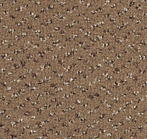 Ковролин Desso Trapez-Brlm 2043 фото 1 | FLOORDEALER