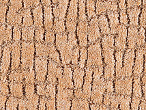 Balta ITC Elton 054 фото 1 | FLOORDEALER