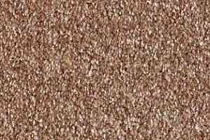 Ковролин AW Bellisima 38 фото  | FLOORDEALER