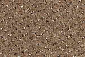 Ковролин Desso Trapez-Brlm 2043 фото  | FLOORDEALER