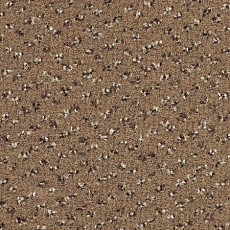 Desso Trapez-Brlm 2043 фото 1 | FLOORDEALER