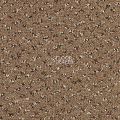 Ковролин Desso Trapez-Brlm 2043 фото 1 | FLOORDEALER