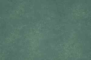 Линолеум Forbo Smaragd Classic 6411 фото  | FLOORDEALER