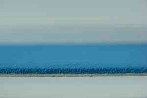 Ковролин Vorwerk Modena 3m20 фото  | FLOORDEALER