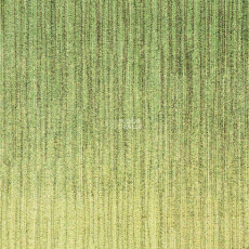 Milliken Culture Canvas hst 141_103 l фото 1 | FLOORDEALER