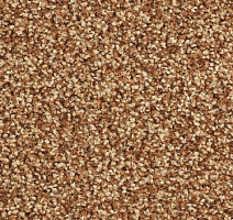 Ковролин Balsan Script 450 фото 1 | FLOORDEALER