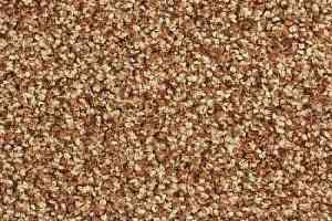 Ковролин Balsan Script 450 фото  | FLOORDEALER