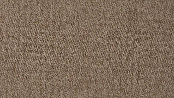 Ковролин Vorwerk Passion 1005 Vorwerk 7f85 фото 1 | FLOORDEALER