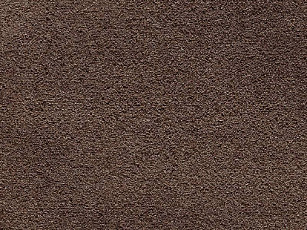 Ковролин Balta Wild Luxury Paddington 48 фото 1 | FLOORDEALER