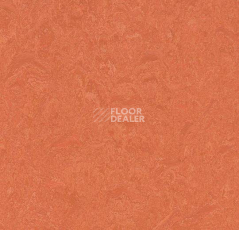 Кварцвиниловые полы Marmoleum Modular Colour 3243 фото 1 | FLOORDEALER