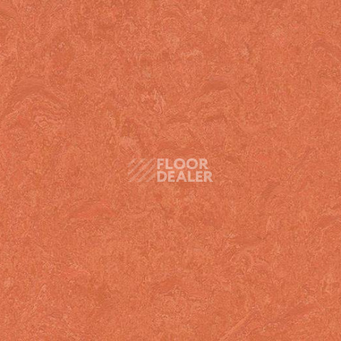 Кварцвиниловые полы Forbo Marmoleum Modular Colour 3243 фото 1 | FLOORDEALER