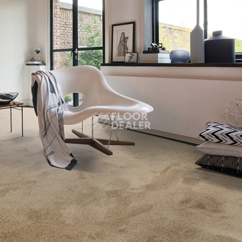 AW Vivendi Vigour 37 фото 2 | FLOORDEALER