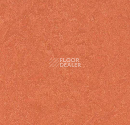 Кварцвиниловые полы Forbo Marmoleum Modular Colour 3243 фото 1 | FLOORDEALER