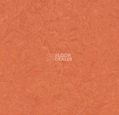 Кварцвиниловые полы Marmoleum Modular Colour 3243 фото 1 | FLOORDEALER