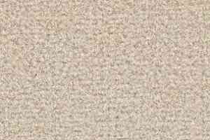 Ковролин Balsan Les Greens II Confort Les Greens II 620 фото  | FLOORDEALER