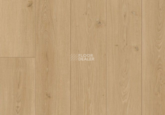 Parador Trendtime 6 1601102 Дуб Студийный Натуральный фото 2 | FLOORDEALER