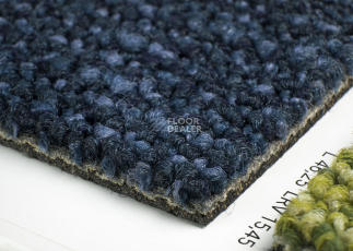 Desso Desert 8811 фото 5 | FLOORDEALER