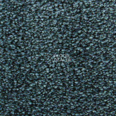 Ковролин Edel Wild Romance 261 фото 1 | FLOORDEALER