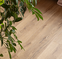 Vinilam Cork Premium Click 8мм 33808 Дуб Витория фото 4 | FLOORDEALER