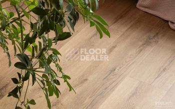 Vinilam Cork Premium Click 8мм 33808 Дуб Витория фото 4 | FLOORDEALER