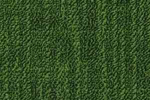 Ковровая плитка Desso Frisk 7223 фото  | FLOORDEALER