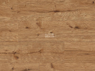 Classen Arteo 8XL WR 55086 Elbrus Oak /8XL фото 1 | FLOORDEALER