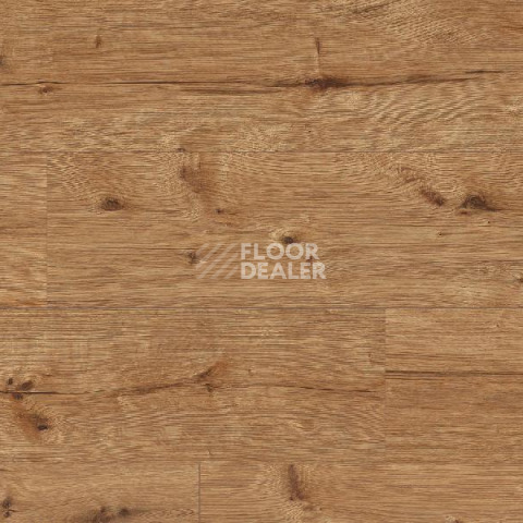 Ламинат Classen Arteo 8XL WR 55086 Elbrus Oak /8XL фото 1 | FLOORDEALER