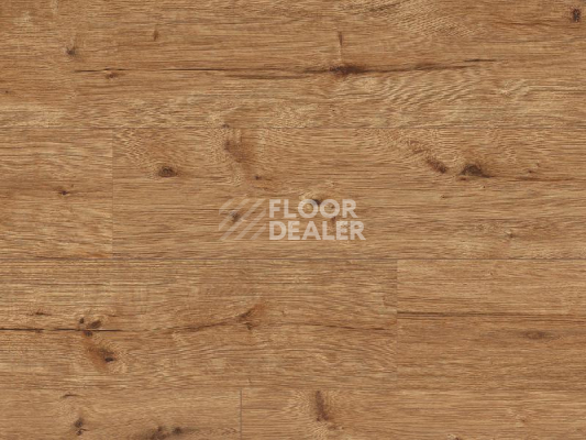 Ламинат Classen Arteo 8XL WR 55086 Elbrus Oak /8XL фото 1 | FLOORDEALER