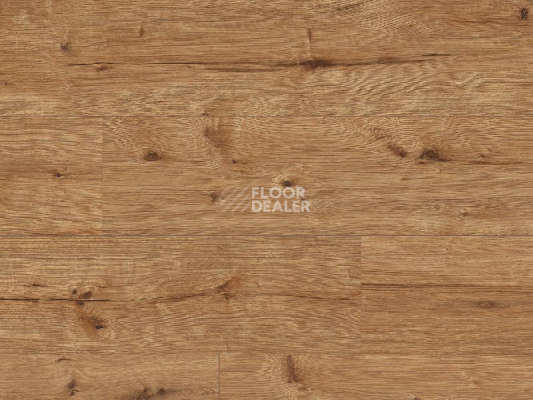 Ламинат Classen Arteo 8XL WR 55086 Elbrus Oak /8XL фото 1 | FLOORDEALER