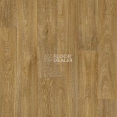 Линолеум Pietro HAVANNA OAK 634M фото 1 | FLOORDEALER