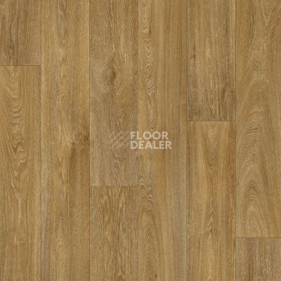 Линолеум Pietro HAVANNA OAK 634M фото 1 | FLOORDEALER