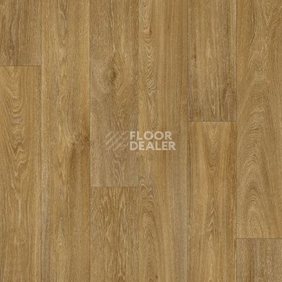 Линолеум Pietro HAVANNA OAK 634M фото 1 | FLOORDEALER