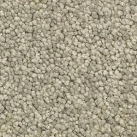 Ковролин AW Vivendi Vigour 29 фото 1 | FLOORDEALER