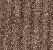 Ковровая плитка Tecsom Camera 00068 фото 1 | FLOORDEALER