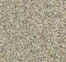 Ковролин AW Vivendi Vigour 29 фото 1 | FLOORDEALER