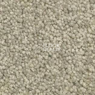 Ковролин AW Vivendi Vigour 29 фото 1 | FLOORDEALER