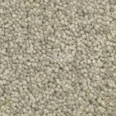 Ковролин AW Vivendi Vigour 29 фото 1 | FLOORDEALER