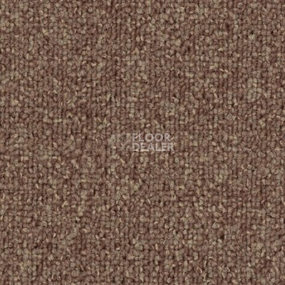 Ковровая плитка Tecsom Camera 00068 фото 1 | FLOORDEALER