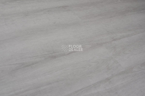 Evofloor Optima Click 4.2мм Дуб Серебряный фото 4 | FLOORDEALER