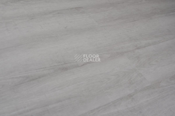 Evofloor Optima Click 4.2мм Дуб Серебряный фото 4 | FLOORDEALER