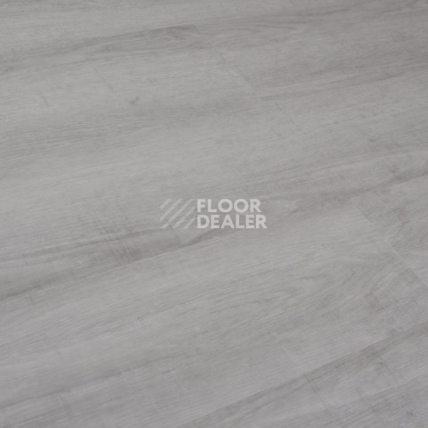 Evofloor Optima Click 4.2мм Дуб Серебряный фото 4 | FLOORDEALER