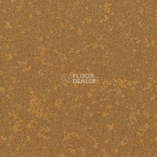 Ковровая плитка Desso Retrace ac 63 6022 фото 1 | FLOORDEALER