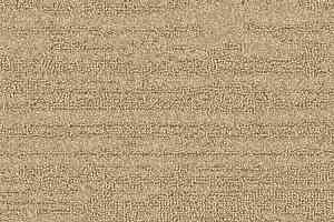 Ковролин Balsan Sierra 621 фото  | FLOORDEALER