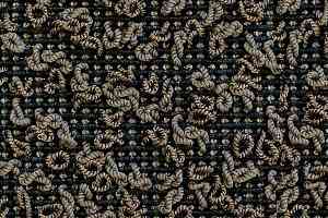 Ковролин Carpet Concept Eco Iqu S 60267 фото  | FLOORDEALER