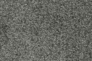 Ковролин AW Invictus Romelus 98 фото  | FLOORDEALER