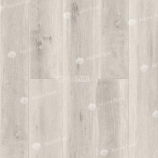 Alpine Floor Easy Line 3мм ДУБ ПОЛЯРНЫЙ ECO 3-19 фото 1 | FLOORDEALER