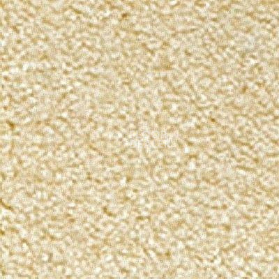 Ковролин Girloon Flair 210 фото 1 | FLOORDEALER