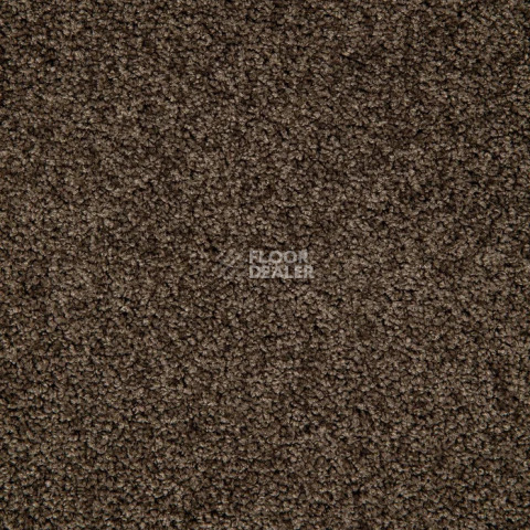 Haima Noble 67 фото 8 | FLOORDEALER